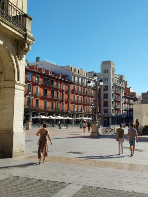 Obsesiones políticas