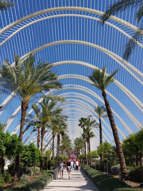 ciudad artes y ciencias valencia