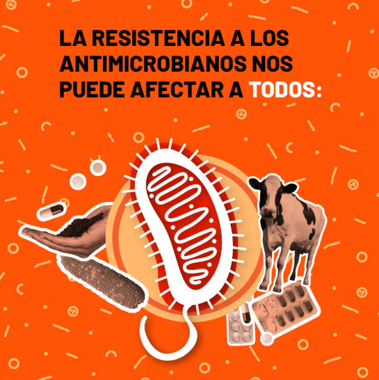 antimicrobianos